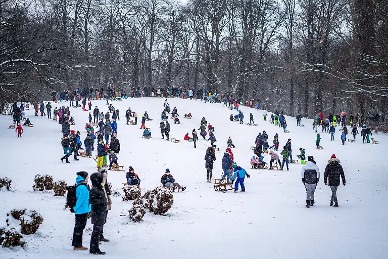 d659aa31d2625ea5c10c1ff36301e416