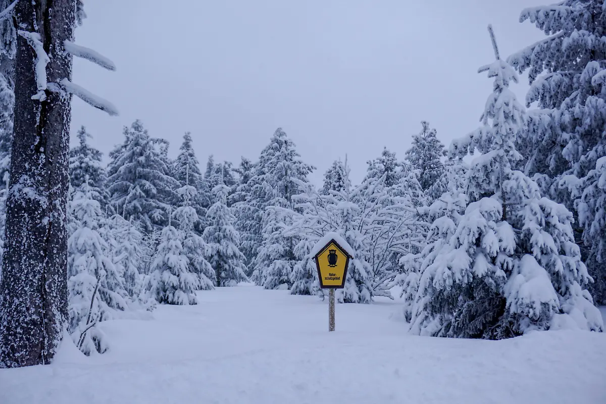 6ea6373adfdd5aac1d889bff1a211f9f