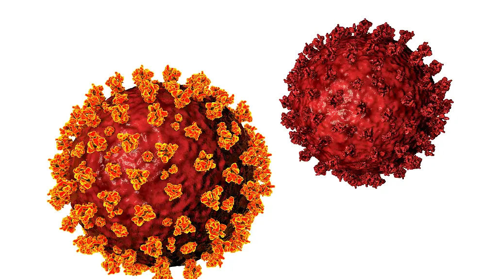 Coronavirus