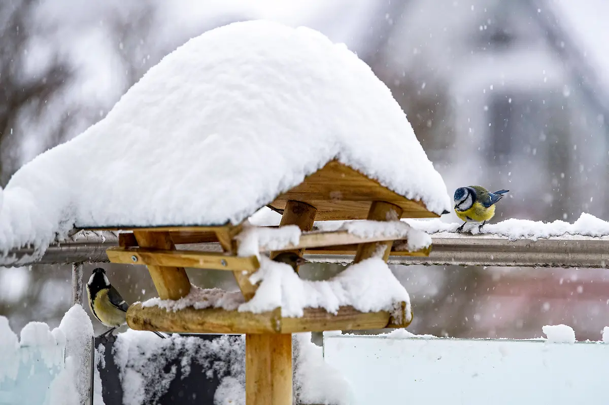 f3dc1682d157d073cf6c4cd40a1f4aba