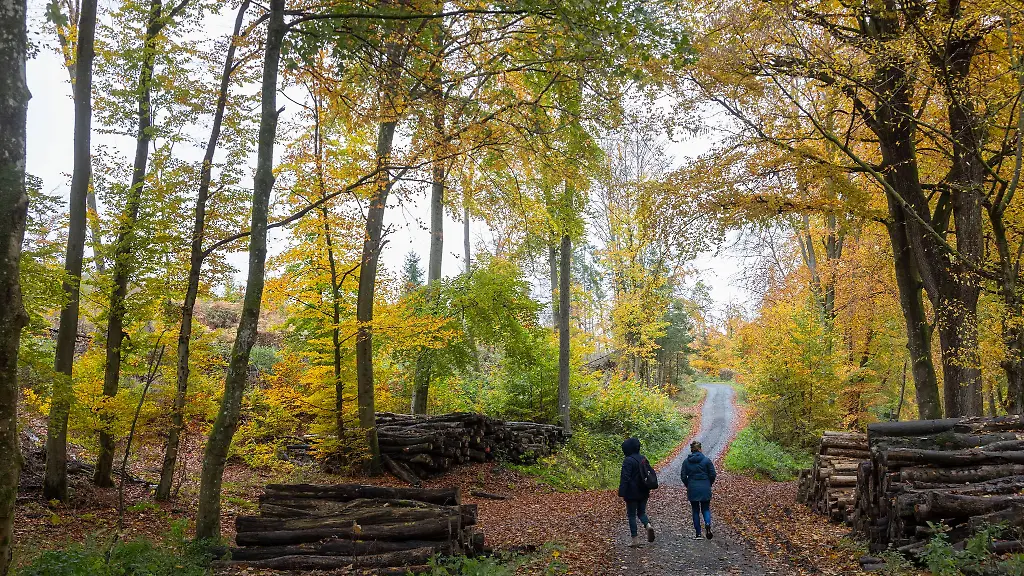 Der-Deutsche-Wetterdienst-erwartet-fuer-Hessen-eine-Mischung-aus-Spruehregen-Nebel-und-sonnigen-Abschnitten