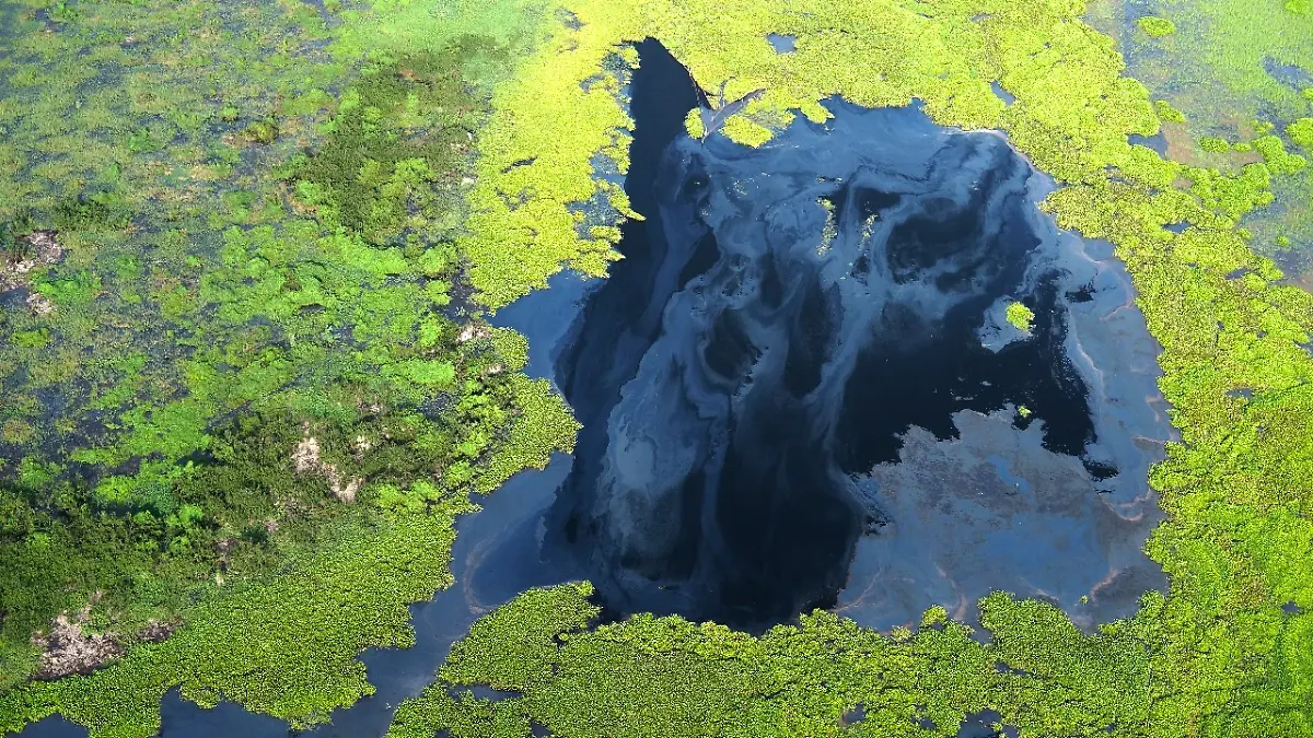 HANDOUT-Pesticide-sheen-on-the-surface-of-Tonle-Sap-Lake-ACHTUNG-DIESER-BEITRAG-DARF-NICHT-VOR-DER-SPERRFRIST-10-NOVEMBER-11-00-UHR-VEROeFFENTLICHT-WERDEN-EIN-BRUCH-DES-EMBARGOS-KOeNNTE-DIE-BERICHTERSTATTUNG-UeBER-STUDIEN-EMPFINDLICH-EINSCHRAeNKEN-VERWENDUNG-NUR-IN-ZUSAMMENHANG-MIT-DER-STUDIE-Quelle-https-www-eurekalert