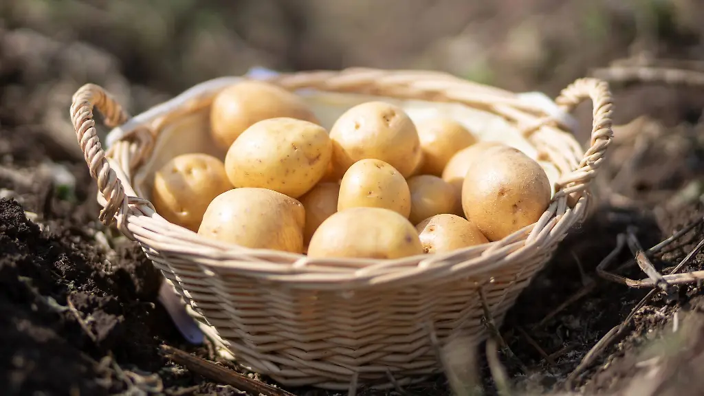 An-der-Seenplatte-fahndet-die-Polizei-nach-einem-mutmasslichen-Betrueger-der-einer-alten-Frau-ein-paar-Kilo-Kartoffeln-fuer-mehrere-Tausend-Euro-verlauft-haben-soll