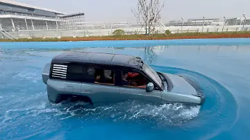YW_U8_schwimmt