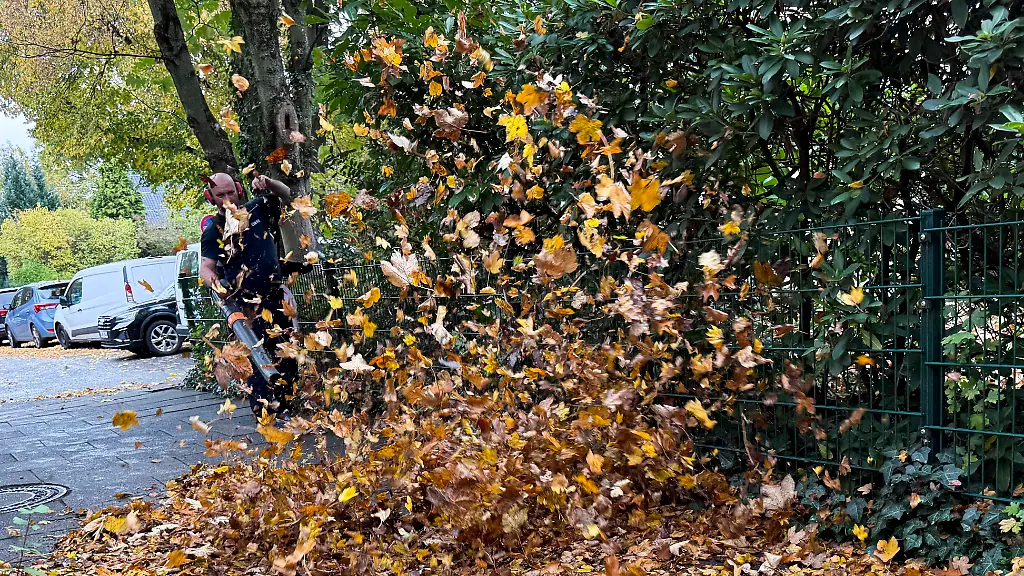 abb-Herbstlaub-Gold-Gelbes-Herbstlaub-Laub-Blaetter-fliegen-durch-die-Luft-Gehweg-Reinigung-durch-einen-Arbeiter-mit-Laubblaeser-Laubblaeser-er-blaest-Laub-und-andere-Gartenabfaelle-mit-starkem-Luftstrom-weg-Fusswewg-Gehweg-im-Herbst-in-Hamburg-Oktober-2025-in-Hamburg