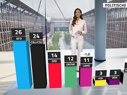 RTL/ntv Trendbarometer: AfD bleibt vorne - und holt auch in Kompetenzfrage auf