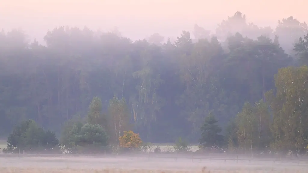 Die-Nebelfelder-loesen-sich-am-Vormittag-rasch-auf