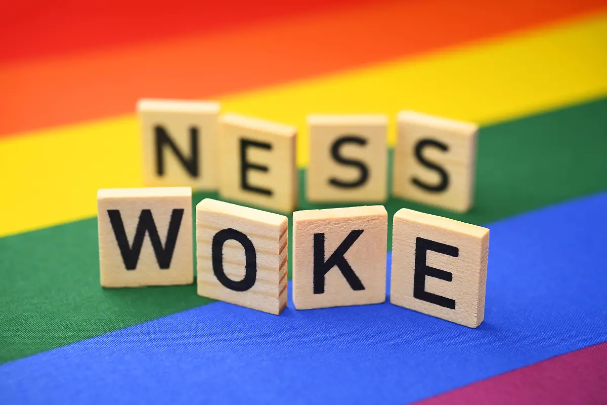 Schriftzug-Wokeness-auf-Regenbogenfahne-Wokeness-lettering-on-rainbow-flag