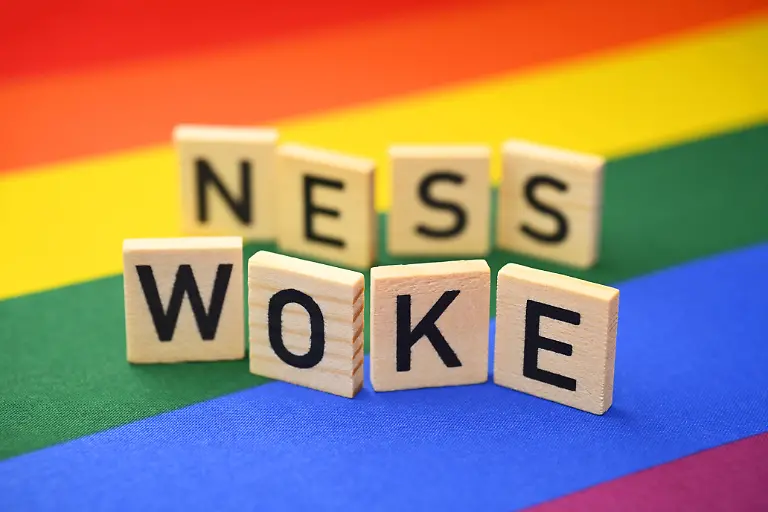 Schriftzug-Wokeness-auf-Regenbogenfahne-Wokeness-lettering-on-rainbow-flag