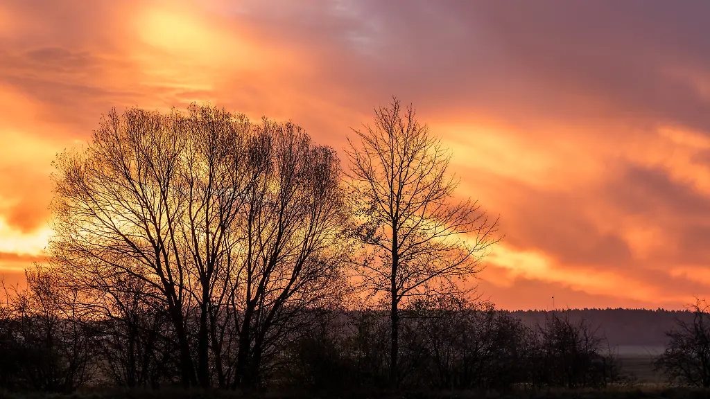 Hinter-auf-einer-Wiese-stehenden-Baeumen-faerbt-die-noch-unter-dem-Horizont-stehende-Sonne-den-Himmel-Heute-wird-es-den-ganzen-Tag-bedeckt-bleiben-Es-kann-leicht-regnen-und-die-Temperaturen-bleiben-unter-10-Grad-Celsius