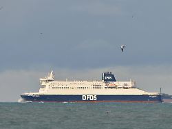 Peepshow-Panne in der Lounge: Porno flimmert versehentlich auf Fähre im Bordprogramm