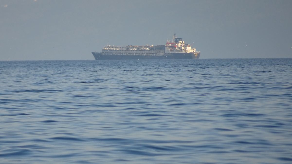 Crisis en el mar: barco con 3,000 reses de Uruguay varado 55 días cerca de Turquía