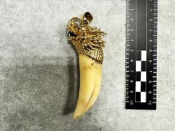Zwei Verfahren eingeleitet: Zoll beschlagnahmt Goldkette mit echtem Tigerzahn