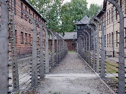 "Schamloses Unterfangen": Auschwitz-Komitee fordert Absage von NS-Auktion