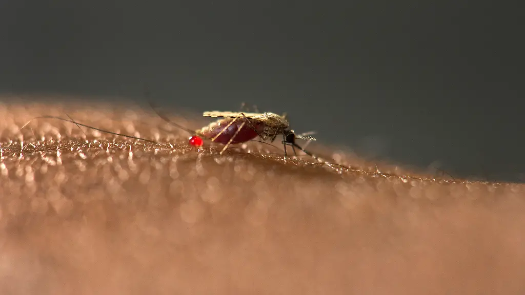 ACHTUNG-Nur-zur-redaktionellen-Verwendung-im-Zusammenhang-mit-der-aktuellen-Berichterstattung