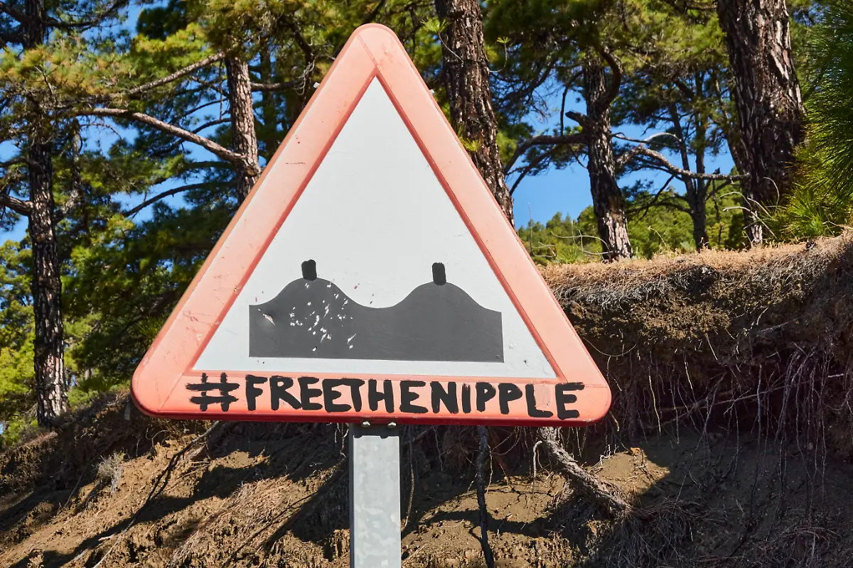 Von-Witzbold-leicht-abgeaendertes-Gefahrensignal-fuer-unebene-Fahrbahn