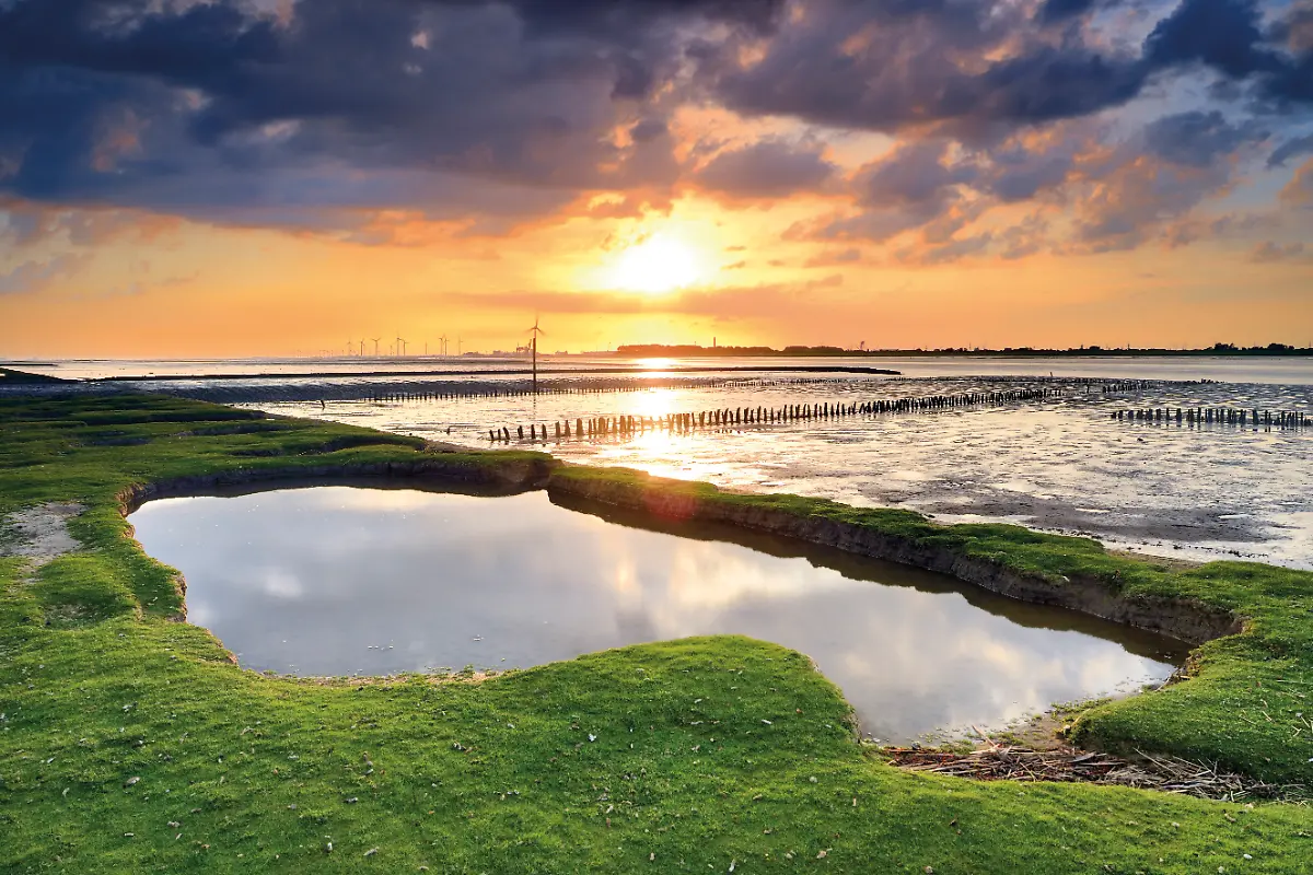 Deutschland-Niedersachsen-Emden-Nordsee-Ostfriesland-Ems-Nationalpark-Wattenmeer-in-Niedersachsen