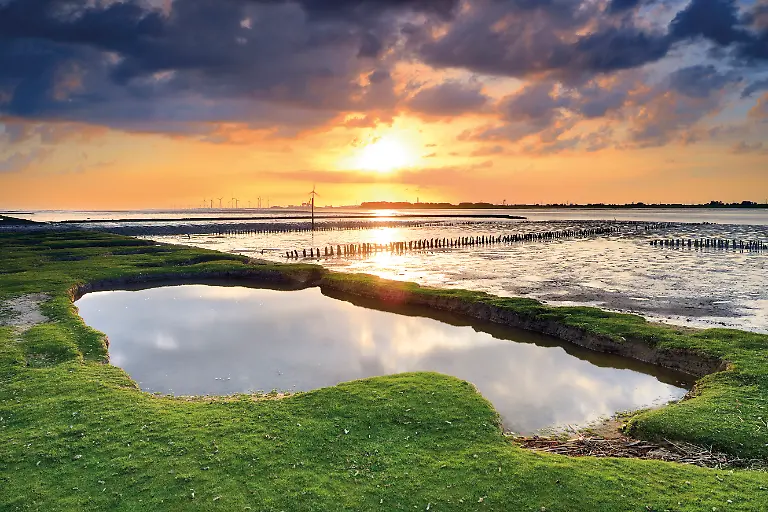 Deutschland-Niedersachsen-Emden-Nordsee-Ostfriesland-Ems-Nationalpark-Wattenmeer-in-Niedersachsen