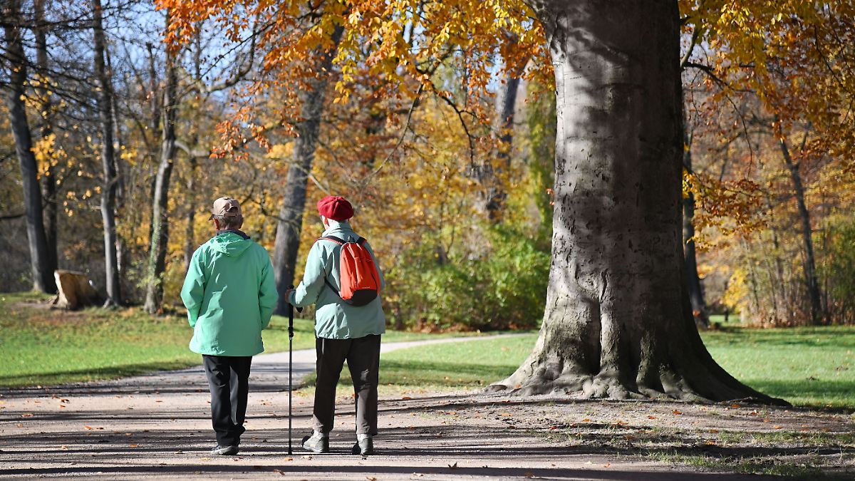 Schwarz-rote-Milliardenpl-ne-Das-ist-das-umstrittene-Rentenpaket
