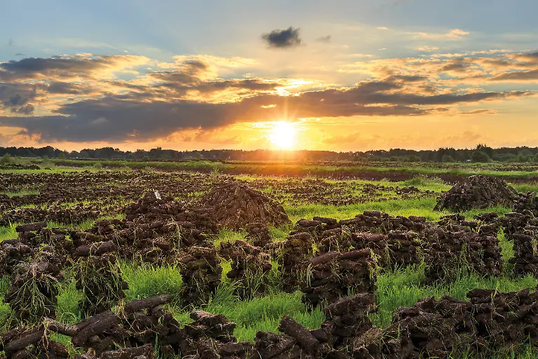 Peat-on-a-meadow-near-Wiesmoor