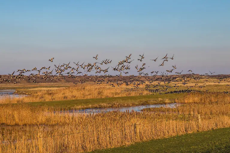 AdobeStock_210417909