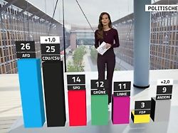 RTL/ntv-Trendbarometer: Union nähert sich AfD an, BSW ohne Wagenknecht nicht messbar