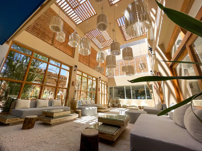 88a5878c-41db-4a16-a0b4-2821435bec14