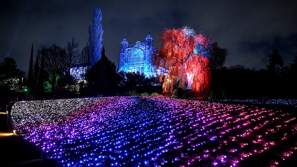 Probe-der-Lichtinstallation-vor-der-Eroeffnung-der-Weihnachtslichter-Attraktion-Christmas-Garden-im-Botanischen-Garten-Bis-zum-11-01-2026-koennen-die-Lichtershows-des-beleuchteten-Weihnachtserlebnisparks-besucht-werden