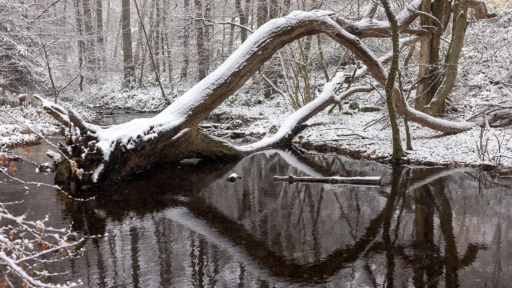Die-Schneefallgrenze-sinkt-von-500-Meter-tagsueber-auf-etwa-200-Meter-in-der-Nacht