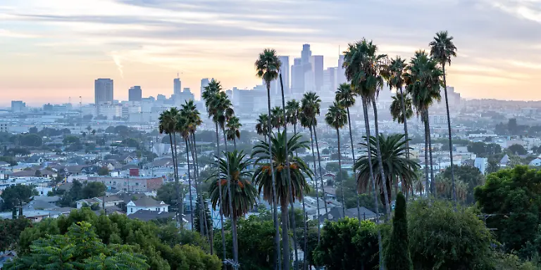 Los-Angeles-USA-11-Oktober-2024-Los-Angeles-Skyline-mit-Palmen-und-Downtown-zum-Sonnenuntergang-in-Kalifornien-in-Los-Angeles-USA