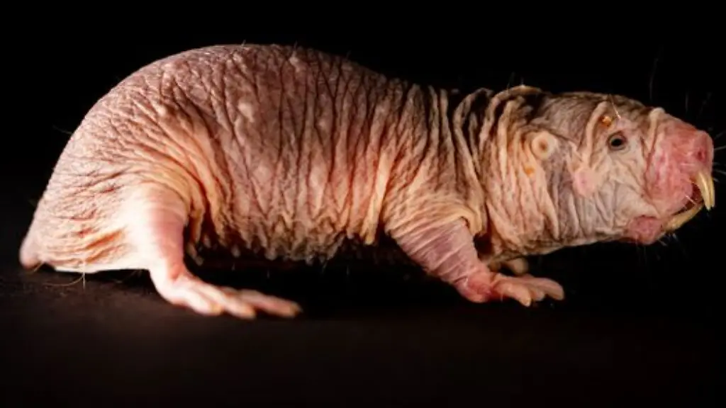 ACHTUNG-Frei-nur-im-Zusammenhang-mit-der-Berichterstattung-ueber-die-Studie