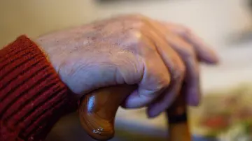 498693032