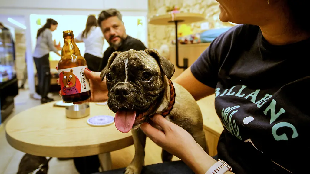 07-11-2025-Libanon-Beirut-Ein-Hund-sitzt-auf-dem-Schoss-der-Besitzerin-im-House-of-Kalee-einem-Restaurant-fuer-Haustiere-im-Herzen-von-Beirut-Das-Hundecafe-das-erste-im-Libanon-bietet-hausgemachte-Speisen-und-Getraenke-fuer-Hunde-an