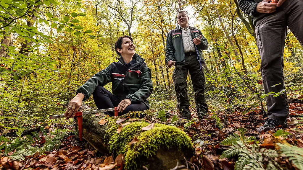 Silke-Gorissen-CDU-Landwirtschaftsministerin-von-Nordrhein-Westfalen-macht-sich-ein-Bild-von-den-Inventur-Arbeiten-im-Wald