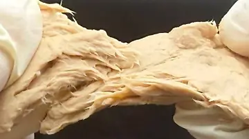Mehr Pilzprotein durch Stilllegung von Genen