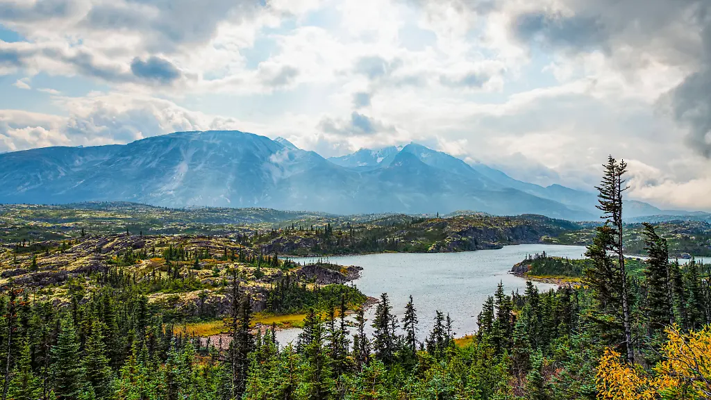 Beaver-Creek-liegt-in-der-nordwestkanadischen-Region-Yukon