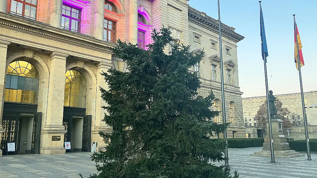 Blick-auf-den-Weihnachtsbaum-der-ohne-Spitze-vor-dem-Berliner-Abgeordnetenhaus-steht-Nachdem-der-Baum-beim-Transport-durchgebrochen-war-befestigten-Arbeiter-die-abgebrochene-Spitze-mit-Hilfe-einer-Metallkonstruktion-auf-dem-unteren-Teil-Doch-diese-Loesung-wurde-aus-Sicherheitsgruenden-verworfen-Die-Spitze-wurde-wieder-abgenommen-und-auch-der-Rest-des-Baumes-wird-wieder-abtransportiert-wie-es-aus-der-Parlamentsverwaltung-hiess