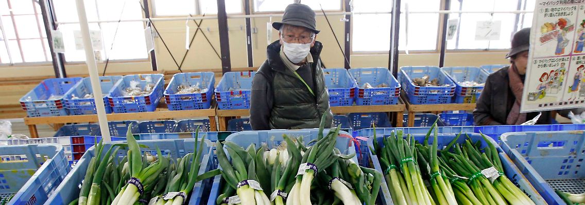 Japanisches Gemüse wurde zum Teil verstrahlt.