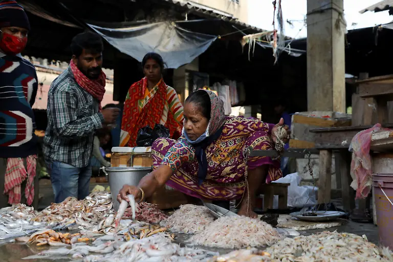 2021-01-13T230803Z-1528703639-RC2B7L9OGE3Z-RTRMADP-3-CLIMATE-CHANGE-INDIA-SUNDARBANS