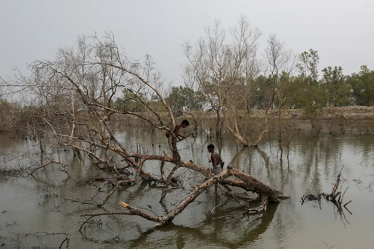 2021-01-13T230936Z-580901317-RC2B7L9E5YKC-RTRMADP-3-CLIMATE-CHANGE-INDIA-SUNDARBANS