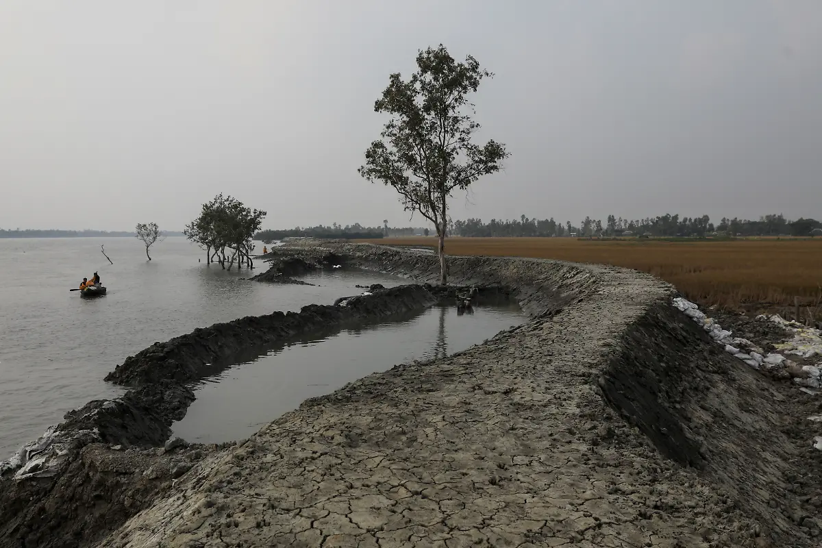 2021-01-13T230915Z-936999932-RC2B7L9FO896-RTRMADP-3-CLIMATE-CHANGE-INDIA-SUNDARBANS