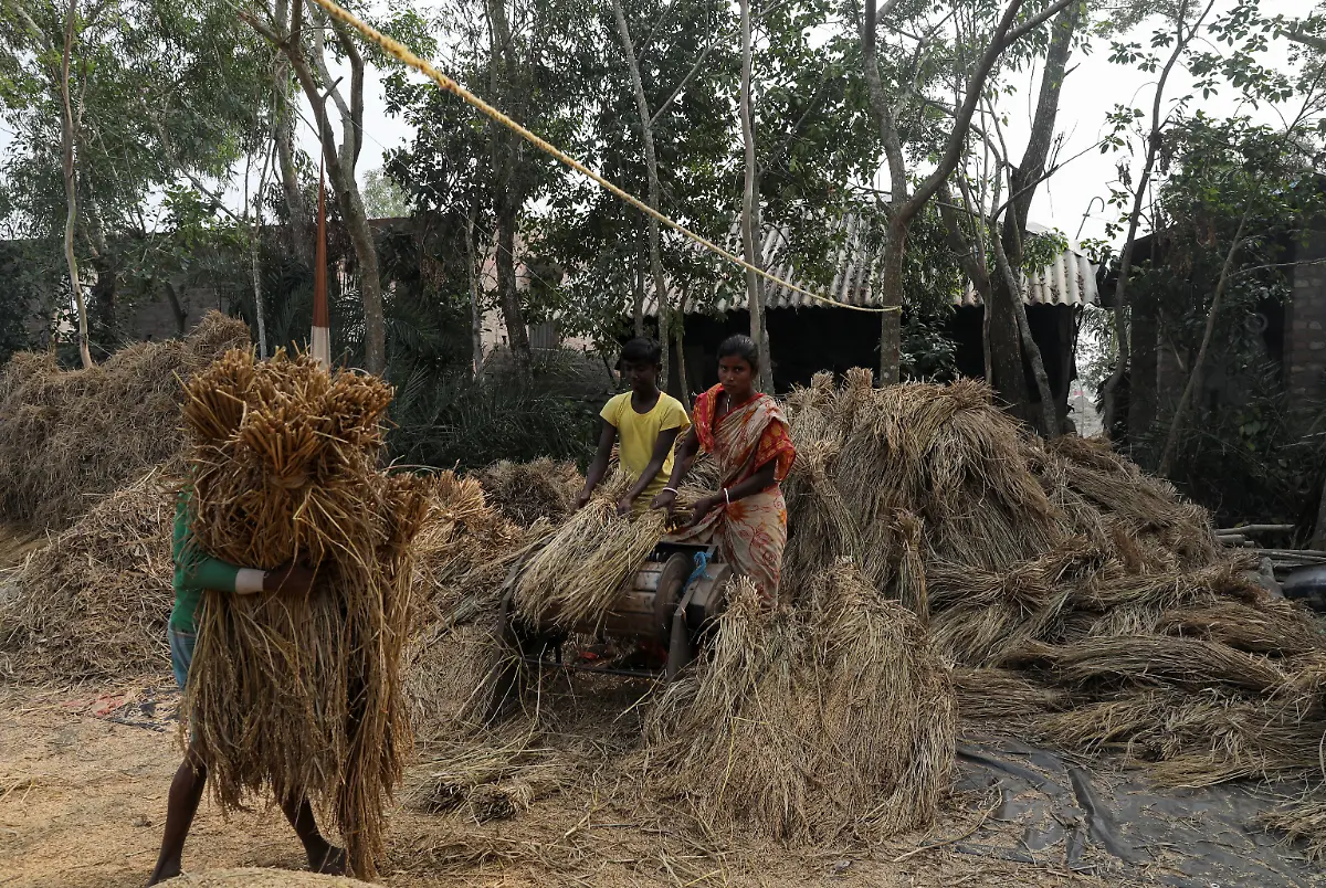 2021-01-13T230948Z-1341170581-RC2B7L9GRTCC-RTRMADP-3-CLIMATE-CHANGE-INDIA-SUNDARBANS