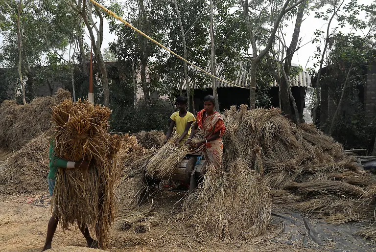 2021-01-13T230948Z-1341170581-RC2B7L9GRTCC-RTRMADP-3-CLIMATE-CHANGE-INDIA-SUNDARBANS