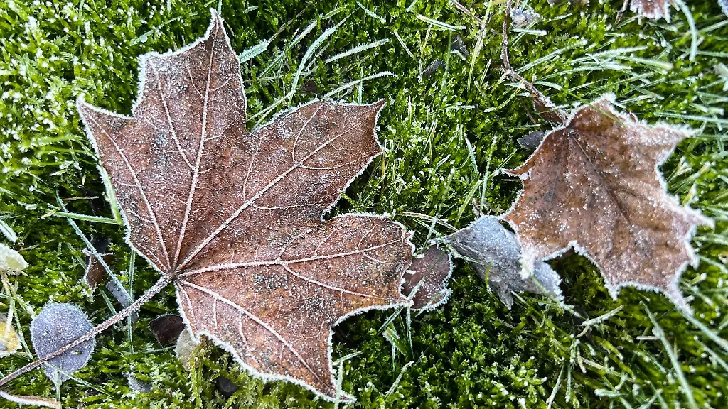 Nachts-wird-es-am-Wochenende-richtig-kalt
