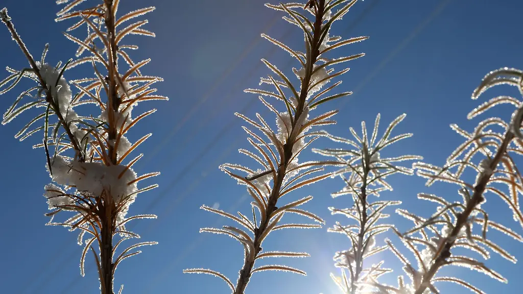 Es-bleibt-zunaechst-einmal-frostig