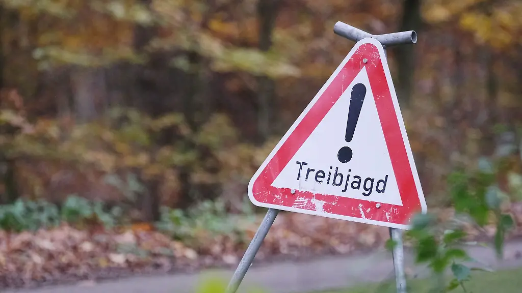 Bei-einer-Treibjagd-sind-zwei-Spaziergaenger-durch-Schrotkugeln-leicht-verletzt-worden