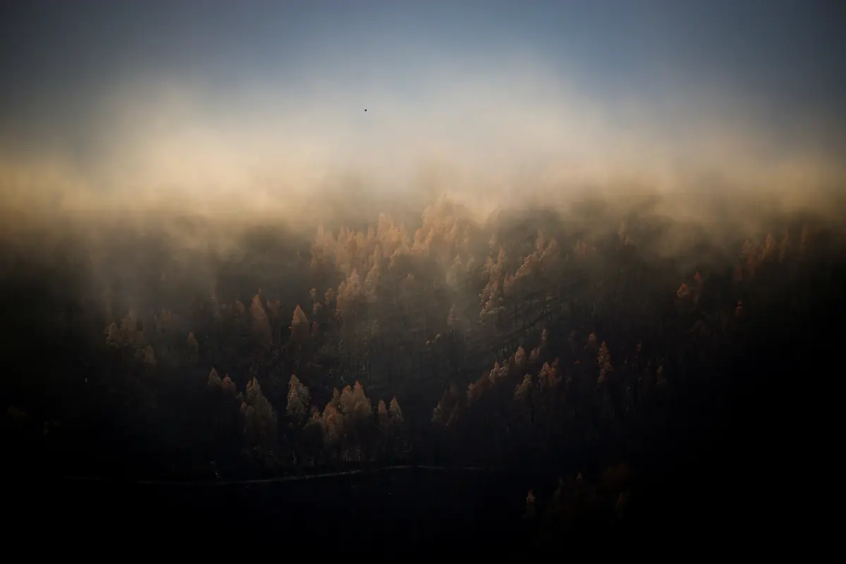 FILE-PHOTO-Burned-trees-are-seen-through-morning-mist-in-the-aftermath-of-a-wildfire-near-Arganil-Portugal-September-11-2025