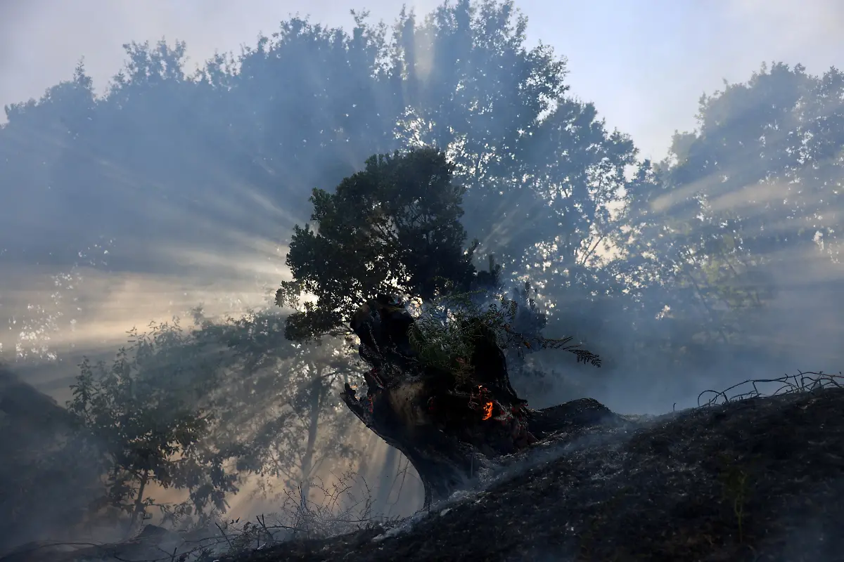 FILE-PHOTO-Fire-burns-inside-the-trunk-of-a-tree-in-Vilar-de-Condes-Galicia-Spain-August-15-2025
