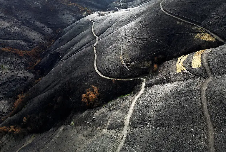 A-general-view-shows-patches-of-hay-called-Mulching-on-top-of-burned-soil-to-reduce-water-runoff-with-ash-and-prevent-soil-loss-placed-by-volunteers-above-a-spring-after-a-wildfire-in-August-in-the-municipality-of-Villamartin-de-Valdeorras-in-the-Serra-do-Larouco-Galicia-Spain-November-7-2025