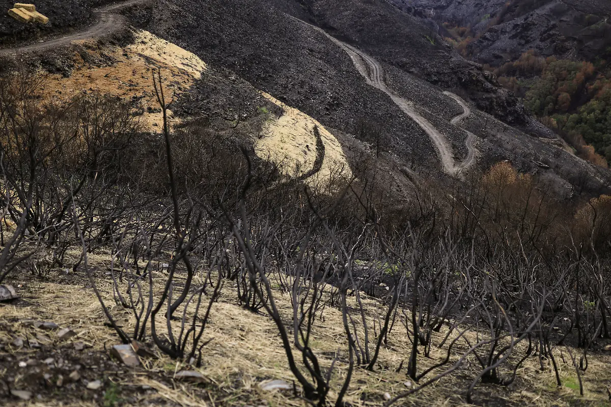 Lines-made-out-of-hay-called-Mulching-are-seen-on-burned-soil-to-reduce-water-runoff-with-ash-and-prevent-soil-loss-placed-by-volunteers-above-a-spring-after-a-wildfire-in-August-in-the-municipality-of-Villamartin-de-Valdeorras-in-the-Serra-do-Larouco-Galicia-Spain-November-7-2025-The-municipality-of-Villamartin-de-Valdeorras-is-planning-to-take-protective-measures-by-using-drones-to-plant-seeds-to-protect-the-areneros-It-will-cost-about-12-000-euros-14-000-for-an-area-of-approximately-40-hectares-I-think-we-re-very-far-from-addressing-the-vastness-of-the-problem-said-the-Council-Mayor-Enrique-Alvarez-Barreiro-REUTERS-Nacho-Doce-SEARCH-IBERIA-WILDFIRES-AFTERMATH-FOR-THIS-STORY-SEARCH-WIDER-IMAGE-FOR-ALL-STORIES